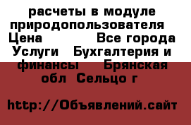 расчеты в модуле природопользователя › Цена ­ 3 000 - Все города Услуги » Бухгалтерия и финансы   . Брянская обл.,Сельцо г.